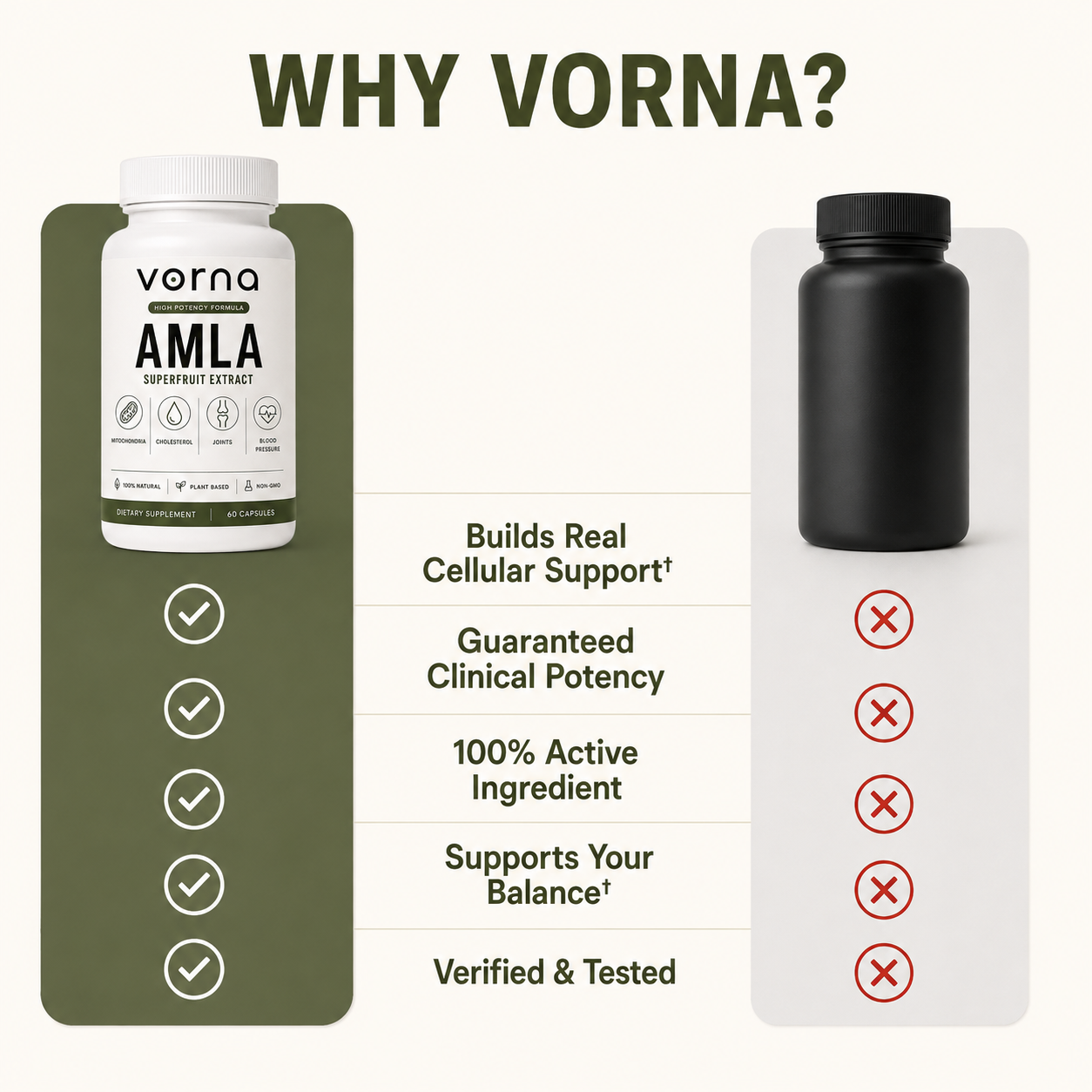 Vorna Amla High-Potency Capsules